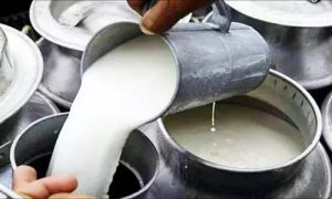 Adulterated Dairy Bust Six Arrested in India
