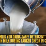 Detergent Traces in Milk Spark Safety Concerns