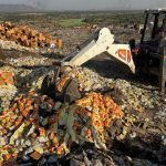 Expired Amul Dairy Products Seized in Jaipur Raid