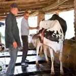 From Village Roots to Dairy Industry Icon