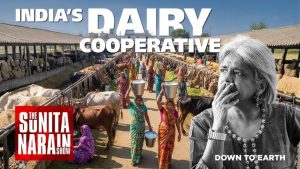 India’s Dairy Future Hinges on Cooperative Expansion