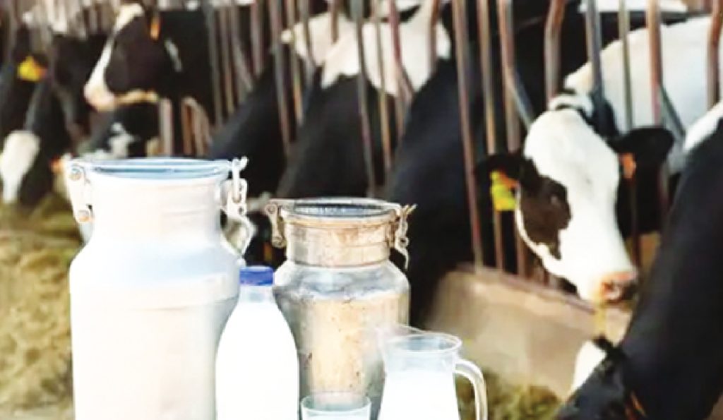 India’s Milk Output Soars to 247M Tons in 2025
