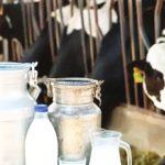 India’s Milk Output Soars to 247M Tons in 2025