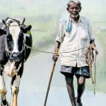 Karnataka Milk Union Sues Flipkart Over Pricing