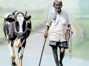 Karnataka Milk Union Sues Flipkart Over Pricing