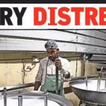 LPG Curbs Disrupt Dairy Processing in India