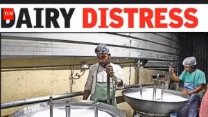 LPG Curbs Disrupt Dairy Processing in India