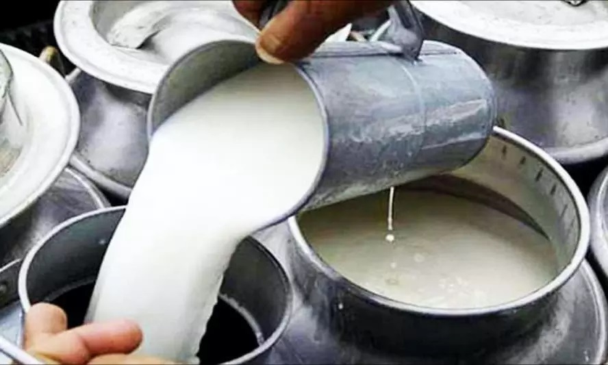 Milk Adulteration Tragedy in Andhra Pradesh