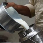 Milk Output Jumps 70% in 11 Years in West Bengal