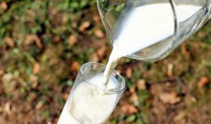 Telangana Plans School Milk Program for Students