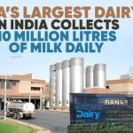 Asia’s Largest Dairy Signals Scale and Growth Shift