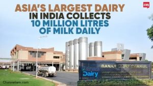 Asia’s Largest Dairy Signals Scale and Growth Shift