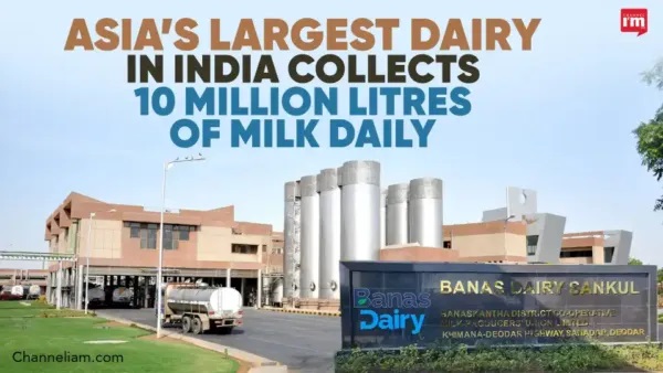 Asia’s Largest Dairy Signals Scale and Growth Shift