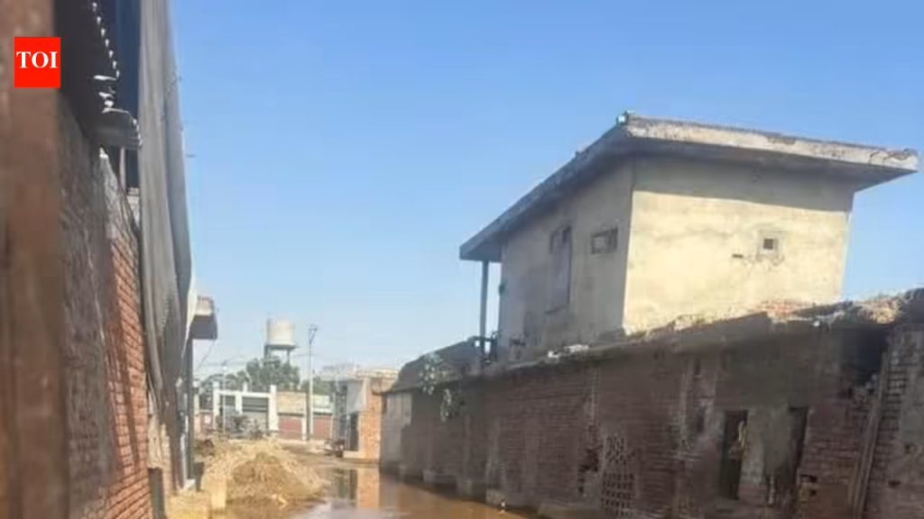 Crackdown on Dairies Amid Punjab Waste Crisis