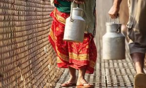 Crackdown on Dairy Adulteration Shakes Supply Chain