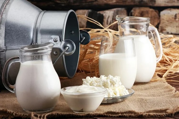 Global Dairy Surplus Triggers New US Export Push
