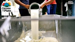 Heatwaves Hit India’s Milk Output and Dairy Costs