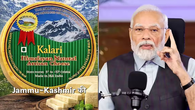 Indian Cheese Gains Global Spotlight, Says Modi