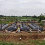 Karnataka Dairy Farms Beat LPG Crisis With Biogas