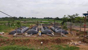 Karnataka Dairy Farms Beat LPG Crisis With Biogas