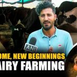 Migrant Workers Turn to Dairy for New Livelihoods