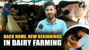 Migrant Workers Turn to Dairy for New Livelihoods
