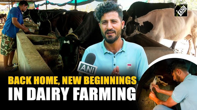 Migrant Workers Turn to Dairy for New Livelihoods