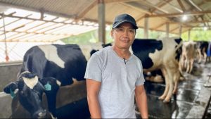 Australia Steps In to Rebuild Indonesia’s Dairy Herds