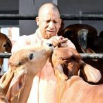 BJP Targets Rural Votes With Dairy Masterplan 1 BJP Targets Rural Votes With Dairy Masterplan