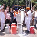 Dairy Farmers Protest Surge of Fake Milk Products 2 Dairy Farmers Protest Surge of Fake Milk Products