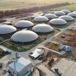 Delhi Pushes Dairy Biogas Project Toward Launch