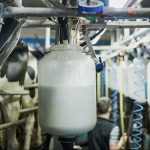 Global Milk Output Jumps as Supply Surge Continues
