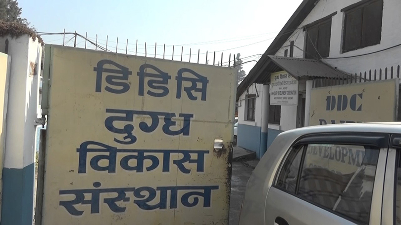 Nepal Dairy Giant Pays Farmers $10M Daily