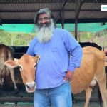Organic Dairy Startup Survived Near Collapse
