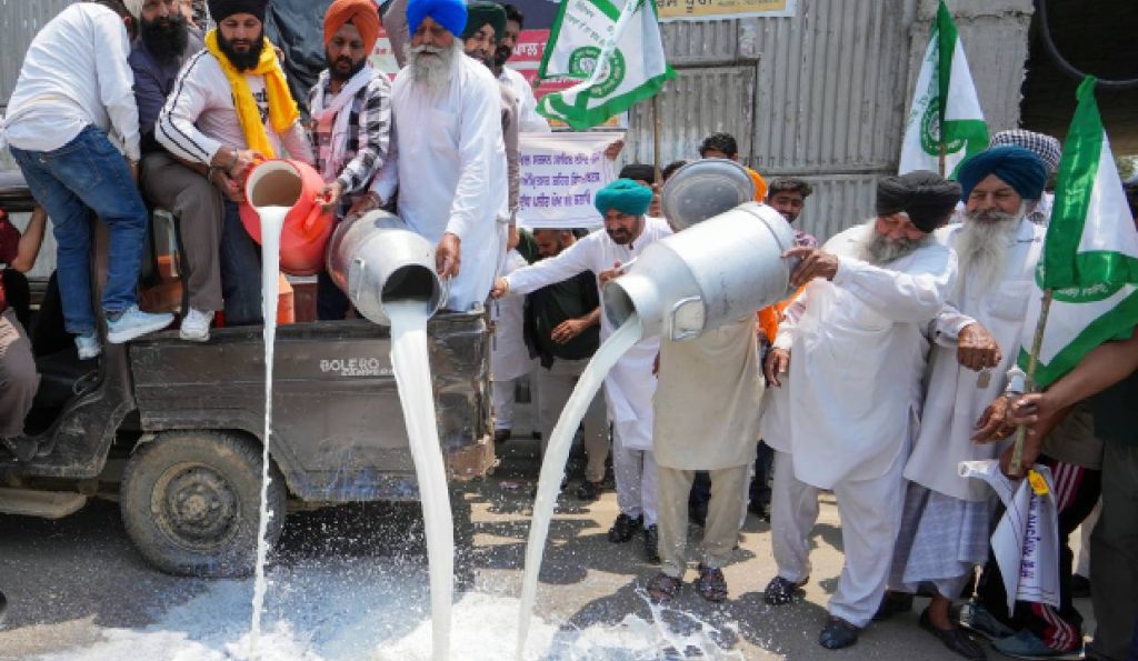 Amritsar Milk Crisis Furious Farmers Spill Milk on Roads