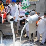 Amritsar Milk Crisis Furious Farmers Spill Milk on Roads