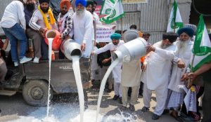 Amritsar Milk Crisis Furious Farmers Spill Milk on Roads