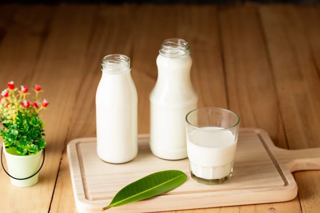 Beyond Raw Milk The Downstream Shift Saving Smallholders