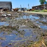 Choked Ludhiana Dairy Complex Sparks Waste Crisis