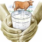 Fat Equals Cash Indian Lab Engineers Premium Cow Milk
