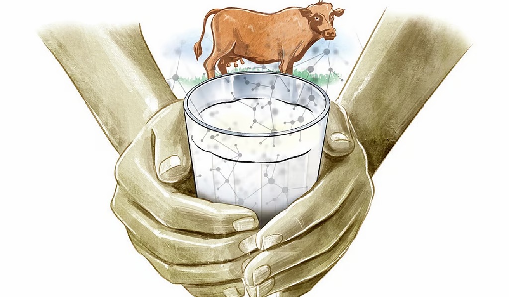 Fat Equals Cash Indian Lab Engineers Premium Cow Milk