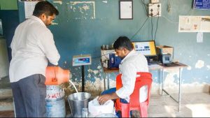 India Milk Output Set to Defy Monsoon Risks with 6% Growth