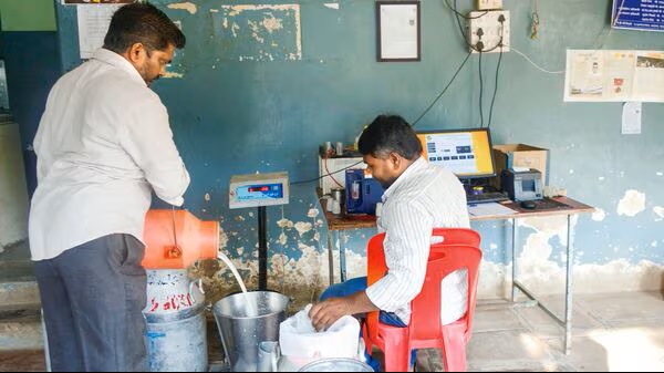 India Milk Output Set to Defy Monsoon Risks with 6% Growth