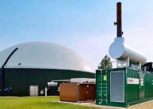 India Turns Dairy Waste Into Clean Bio-Energy