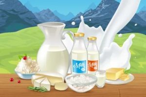 India's Dairy Told to Meet Global Norms for Edge