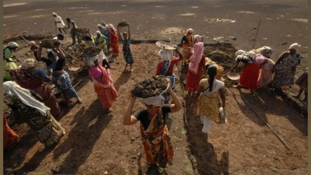 India’s HP Milkfed Caps Intake to Drive Rural Incomes