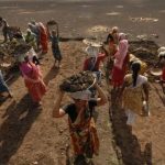 India’s HP Milkfed Caps Intake to Drive Rural Incomes