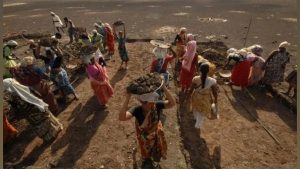 India’s HP Milkfed Caps Intake to Drive Rural Incomes