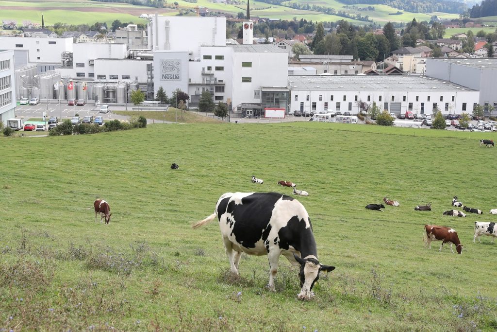 Nestlé Unveils Radical Green Dairy Expansion Plan