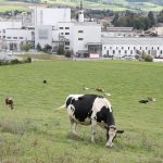 Nestlé Unveils Radical Green Dairy Expansion Plan
